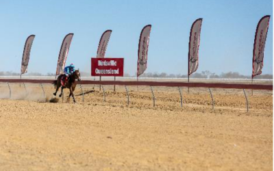 Darwin connections take out leading trainer and jockey honours at iconic Birdsville Races