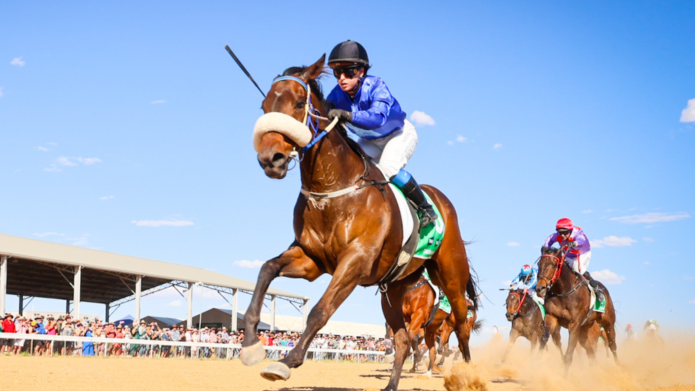 BACK-TO-BACK WINS FOR THE MANZELMANN FAMILY AS RAETIHI TAKES HOME THE 2026 BIRDSVILLE CUP BACK-TO-BACK WINS FOR THE MANZELMANN FAMILY AS RAETIHI TAKES HOME THE 2026 TAB BIRDSVILLE CUP