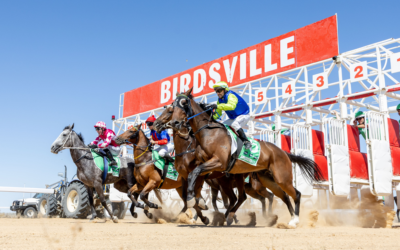 STRONG FIELD SET FOR BIRDSVILLE RACES AS PUNTERS RECEIVE A STAKE IN CUP FAVOURITE