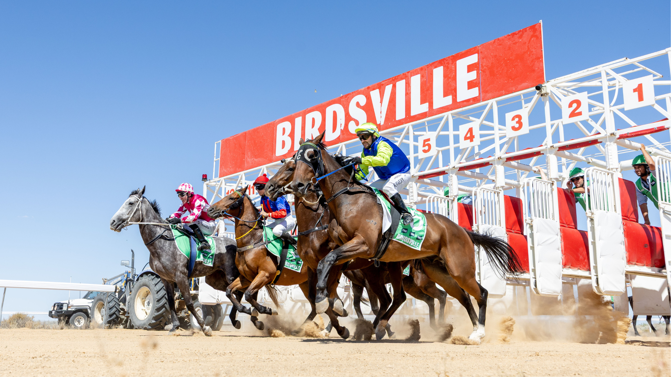 STRONG FIELD SET FOR BIRDSVILLE RACES AS PUNTERS RECEIVE A STAKE IN CUP FAVOURITE
